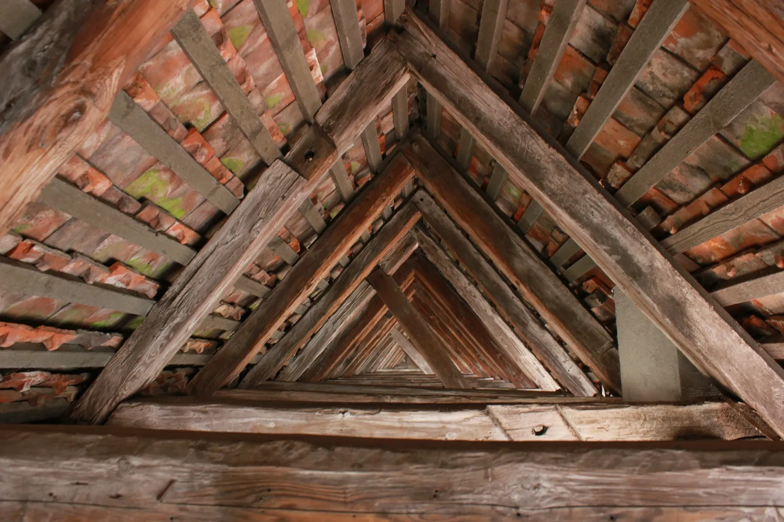 Water-stained roof timbers
